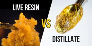 Live Resin vs Rosin vs Distillate