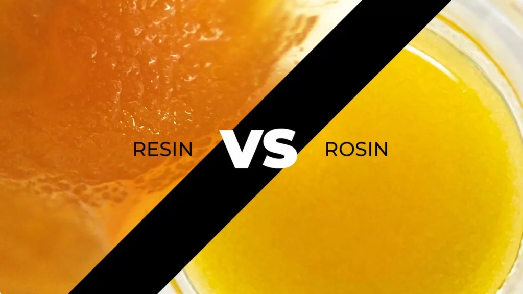 Rosin vs Resin A Professional Comparison